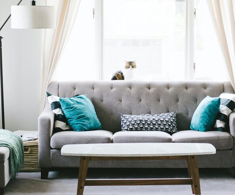 Egestas sed sed risus pretium quam vulputate Card Img 6@2x 768x637